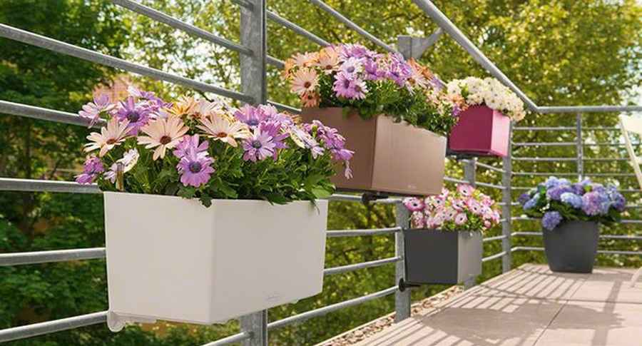 Planted Pots-Caspo BALCONERA Color 80 LECHUZA